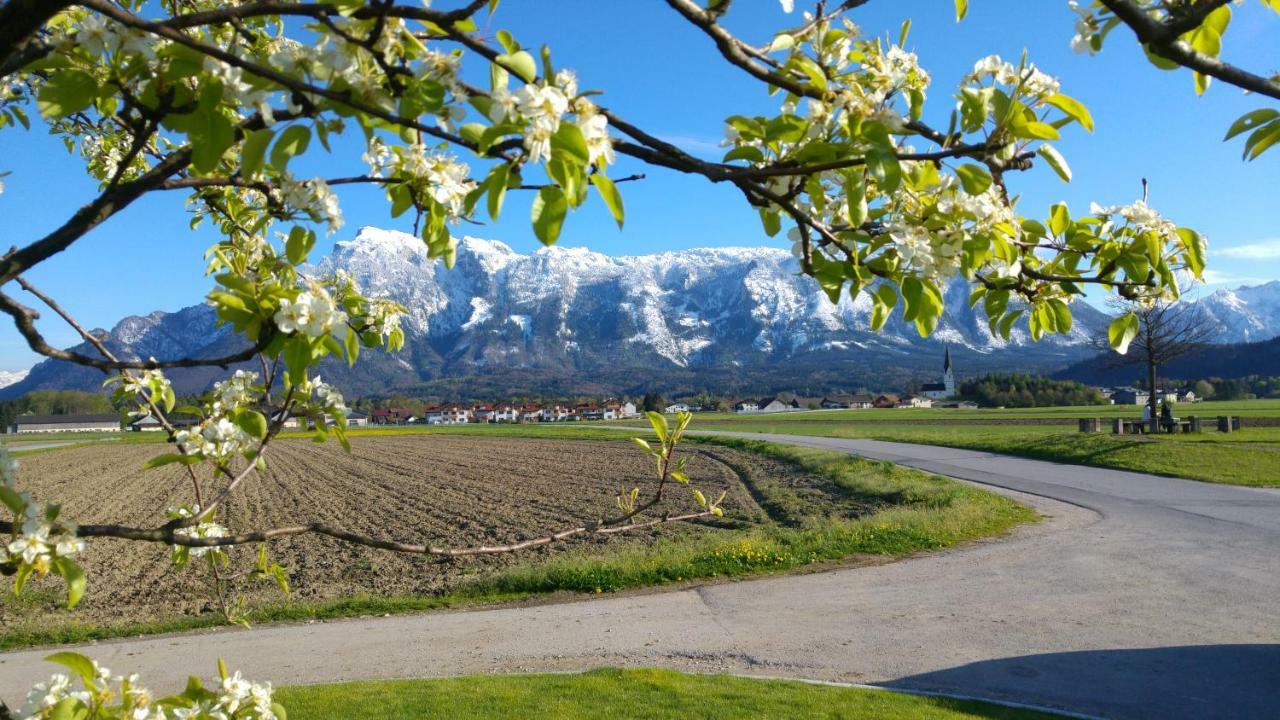 Vor Den Toren Salzburgs Wals-Siezenheim Eksteriør bilde